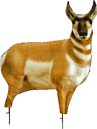 Antelope Buck 38" High X 30" Wide Folded 13" X 10" - Montana Decoy Antelope Buck 2d Decoy (391x450)