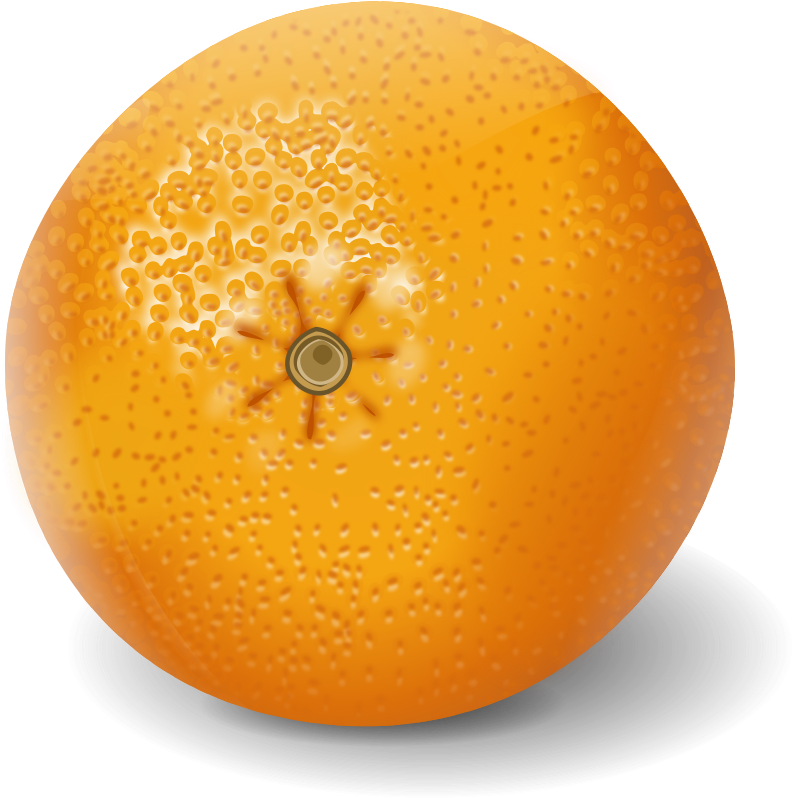 Free Clipart Orange Apelsinas Keistutis Rh 1001freedownloads - Realistic Clipart Of Fruit (800x800)