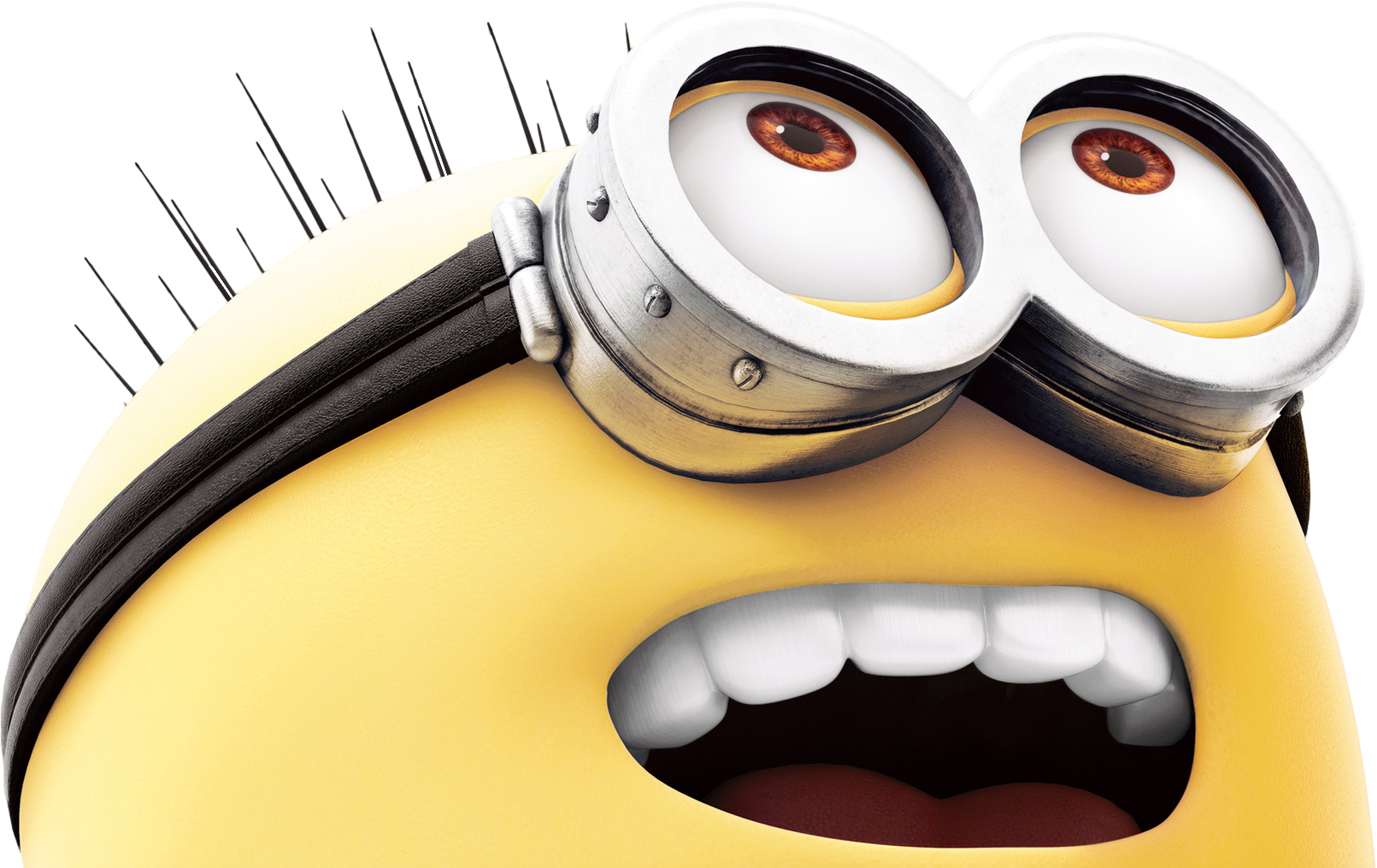 Minions Png - Minions Looking Up Png (1611x1016)
