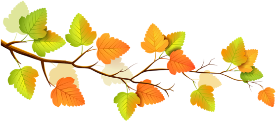 Fall Branch Decor Png Clipart - Branch Png Clipart (600x271)