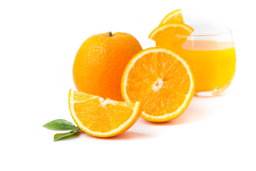 Valencia Orange Tree - Citrus × Sinensis (500x500)