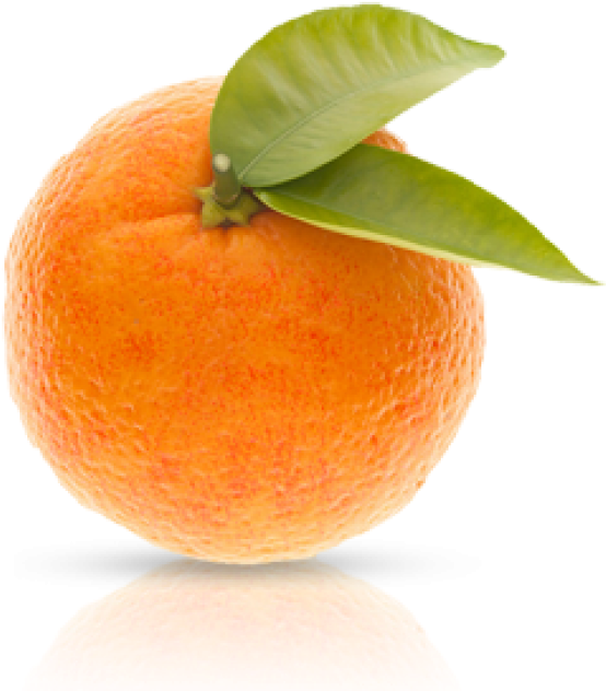 San Pellegrino Orange 33cl San Pellegrino Orange 33cl - Tangerine (800x800)