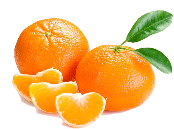 Mandarin Orange - Nova Mandalina (600x450)