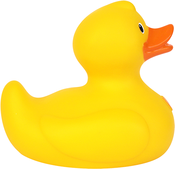 Duck (576x576)