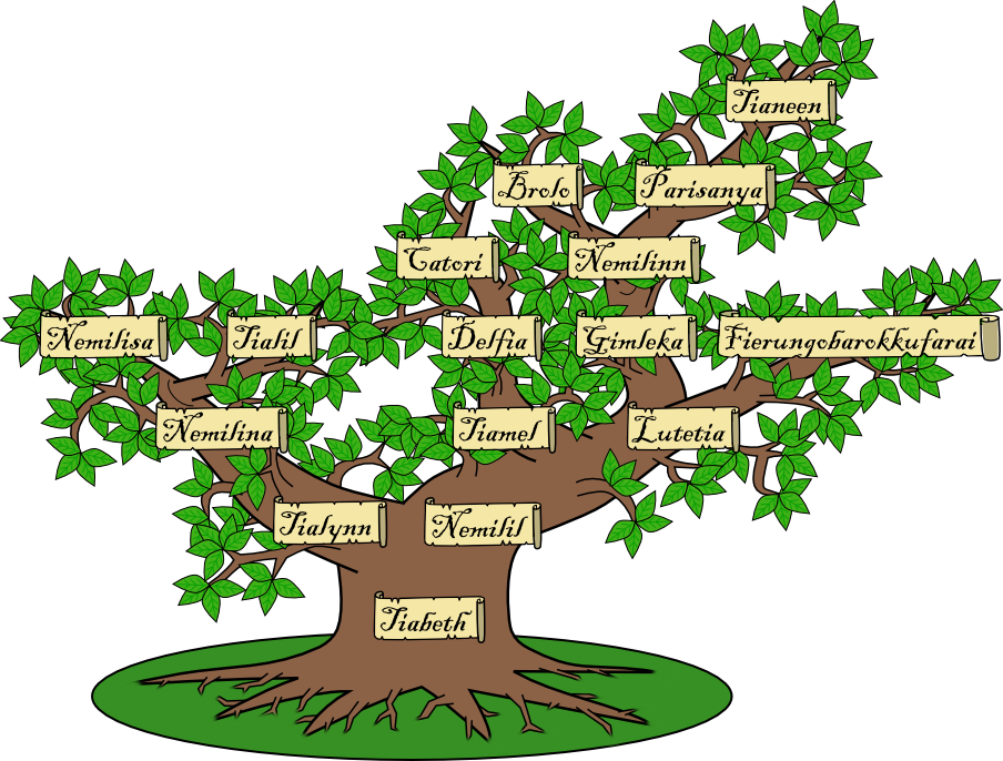 Photo Familytree - Genealogy (904x686)