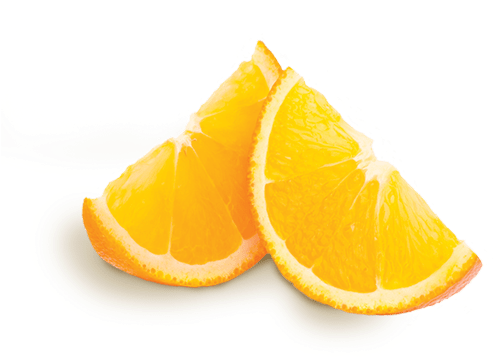Orange Slices (501x503)