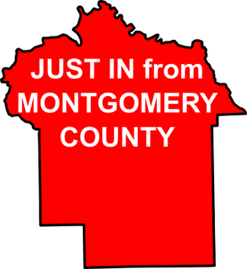 While This Incident Occurred In Montgomery, Please - Light Wand (346x378)