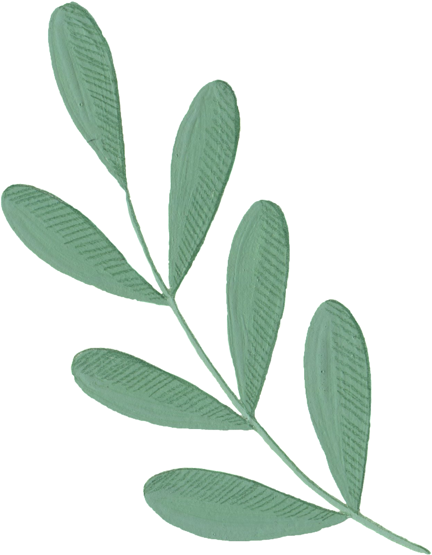 Cartoon Leaf Png Material - Illustration (1024x1310)