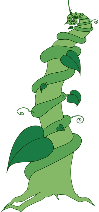 Green Leaves Clipart Beanstalk - Jack And The Beanstalk Clipart (360x720)