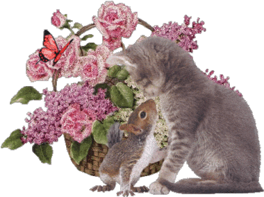 Cats And Flowers Gif (400x304)