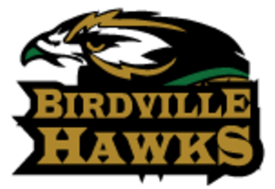 Birdville High School Logo (720x374)