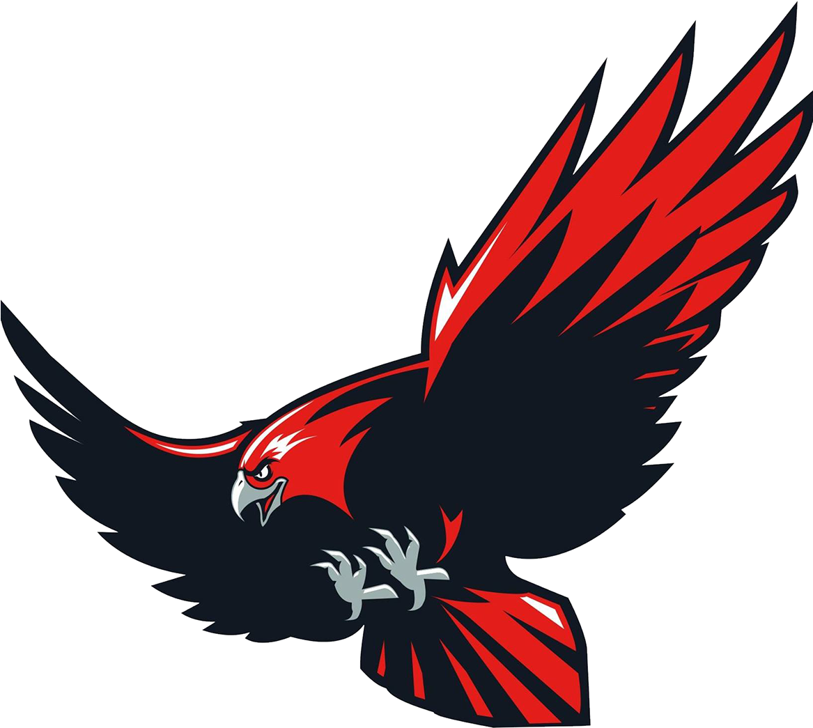 Hawks Men's Basketball - Howard College Hawks Logo (1166x1166)
