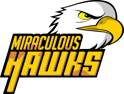 Cs Go Shadow Dagger (500x378)