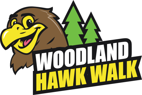 Our Experiences - Bird Of Prey (500x334)