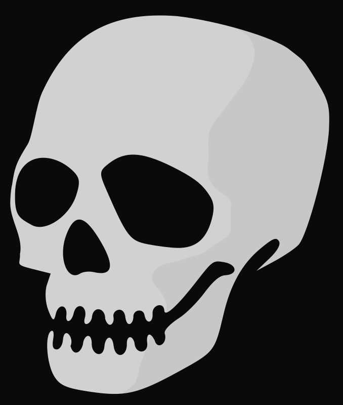Skull Clip Art (678x800)
