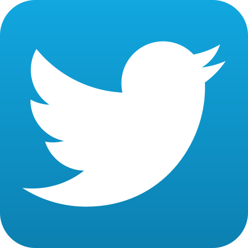 Twitter, Chirrup, Twitter Bird Button, Chirrup Bird - Twitter Logo For Business Card (512x512)