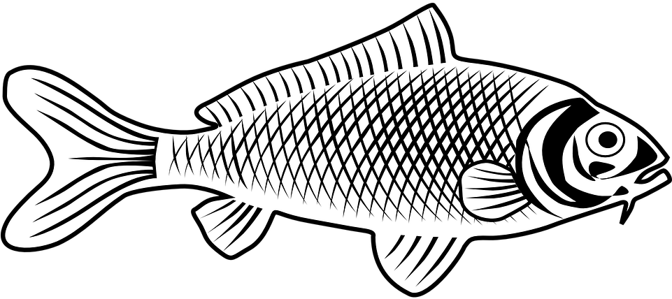 Winter Cliparts Fish 28, Buy Clip Art - Line Art Fish (960x480)