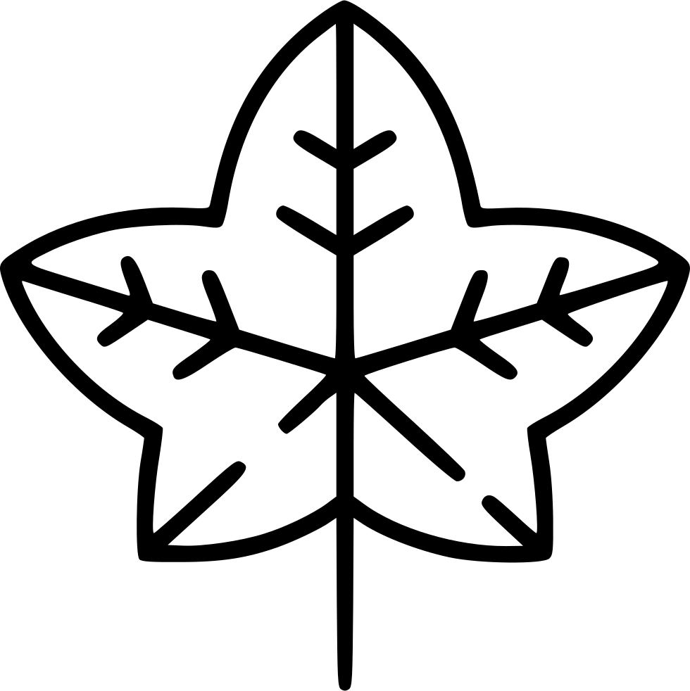 Drawn Ivy Svg - Snowflake Simple (980x982)