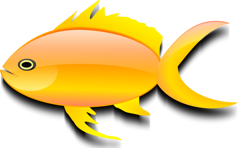 The Top 5 Best Blogs On Goldfish Clipart Images - Gold Fish Clip Art (800x496)