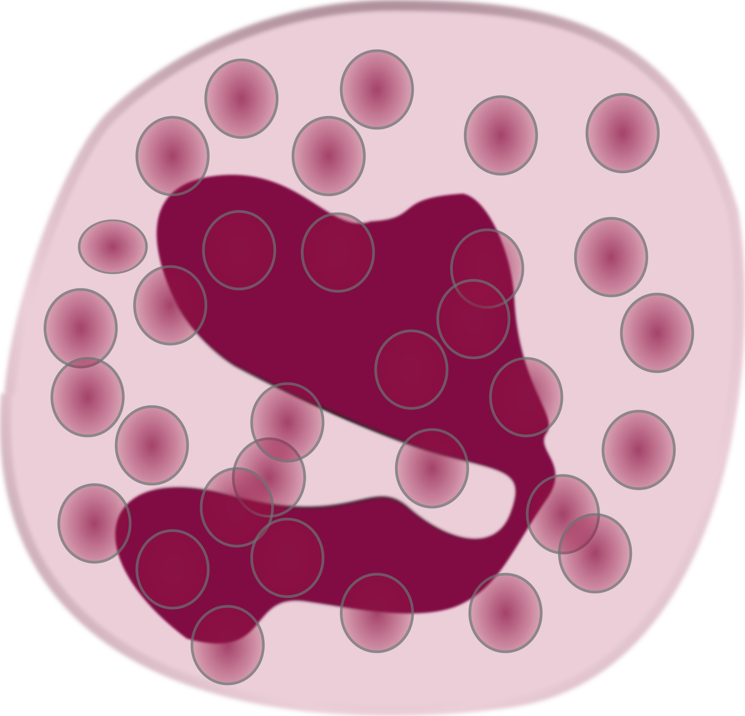 Eosinophils White Blood Cells (2400x2307)