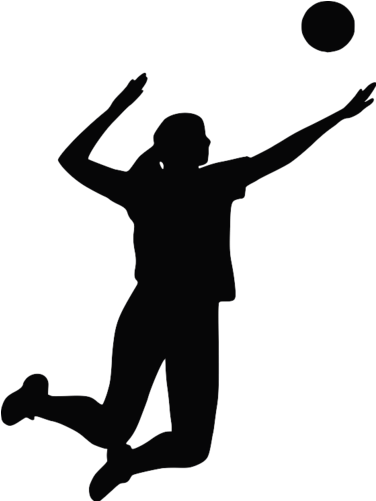 Inside Volleyball Silhouette Clip Art - Volleyball Clipart (500x500)