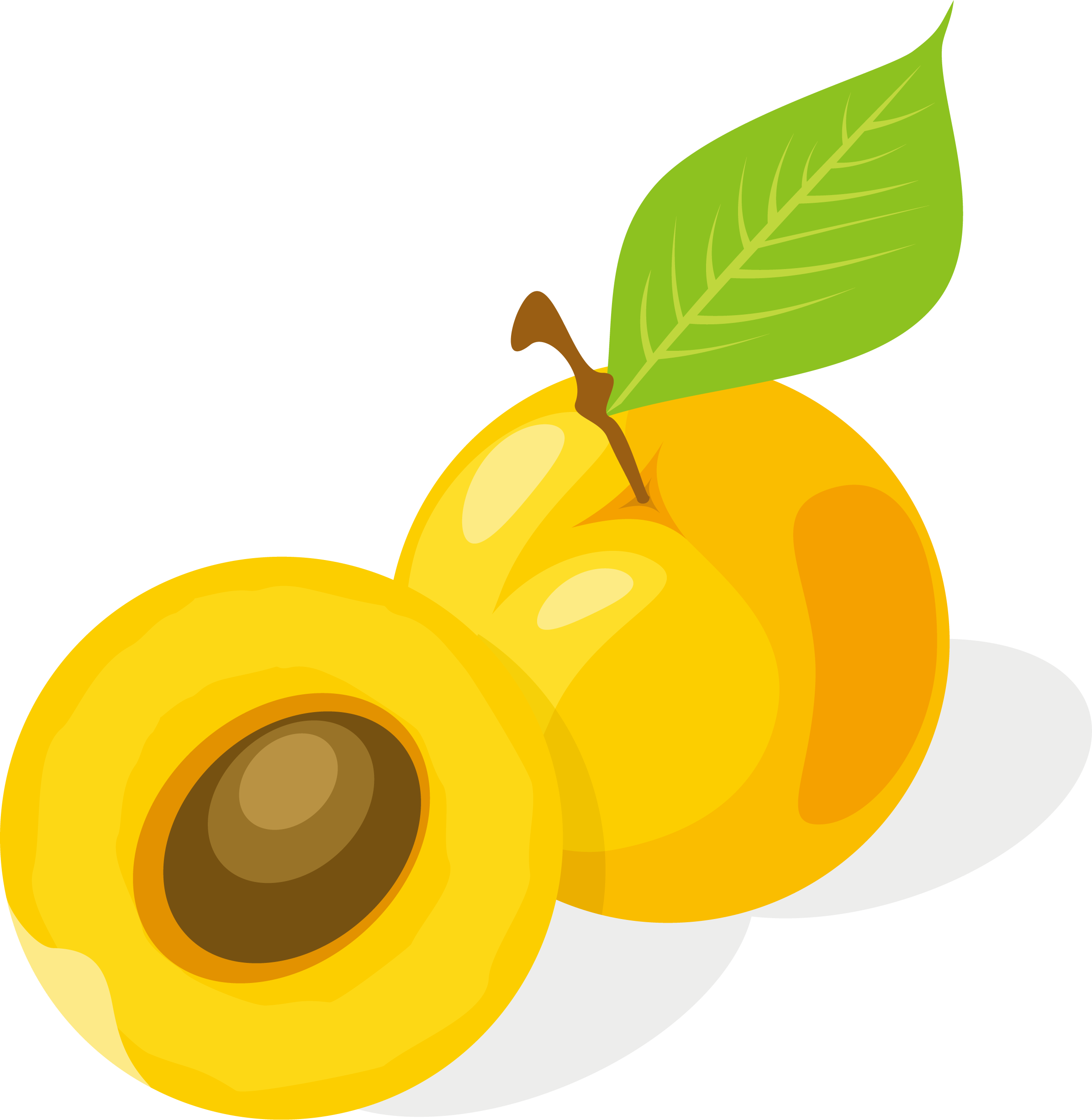 Orange Juice Apple Apricot - Vector Graphics (2391x2452)