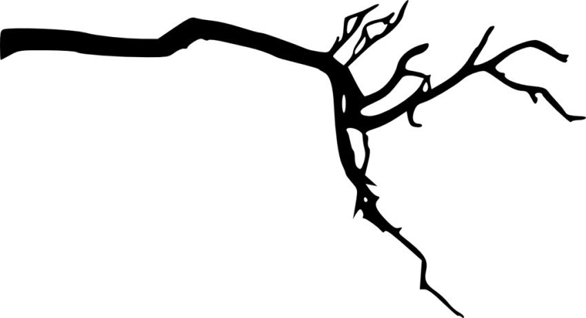 Tree Branch Silhouette Png - Tree Branchsilhouette Png (850x462)