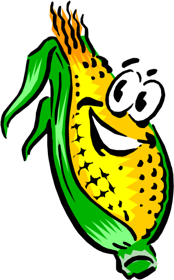 Fibrous System Small Lateral Roots That Spread Out - Gif De Maiz (353x571)