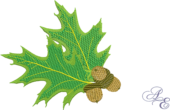 Oak Cluster2 Medium - Gambel Oak (722x361)