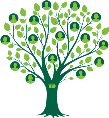 National Family - Family Tree Transparent (600x400)
