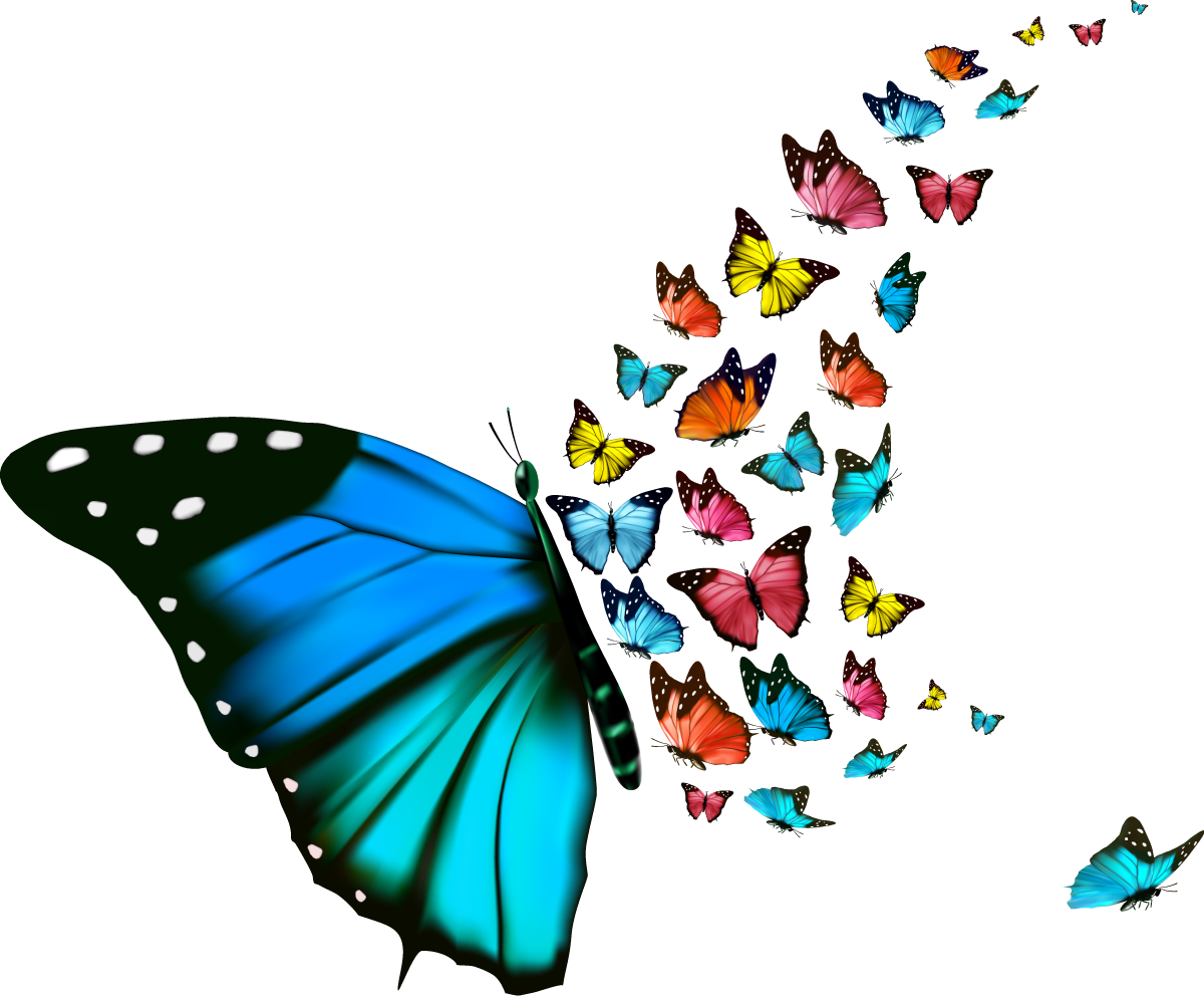 Window Wall Decal Sticker Polyvinyl Chloride - Beautiful Butterfly Background (1200x992)