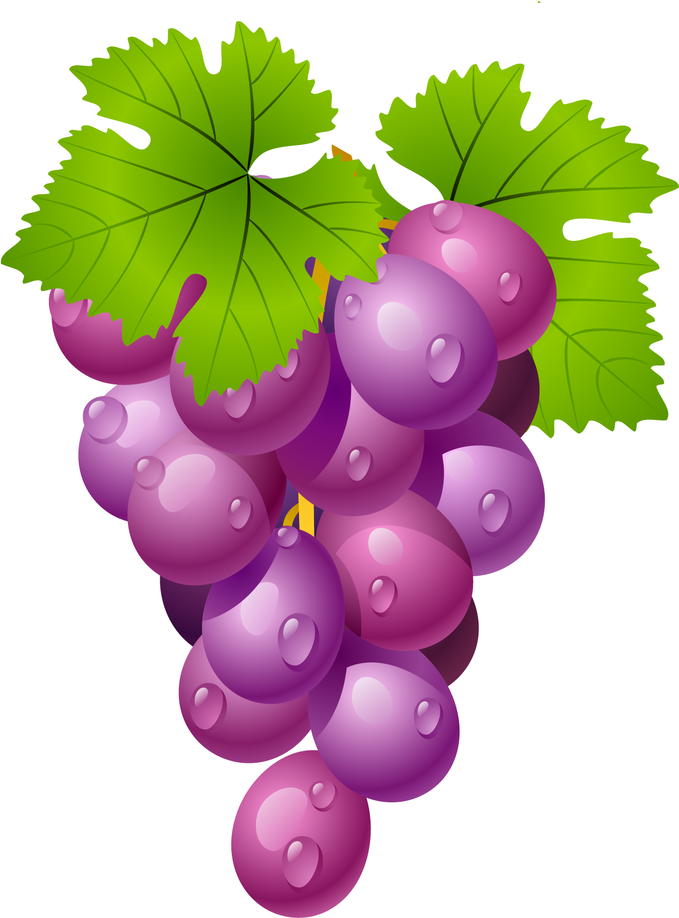 Grapes Clipart 1 Clipart Kids Pedia - Grapes Fruit Clip Art (1436x1843)