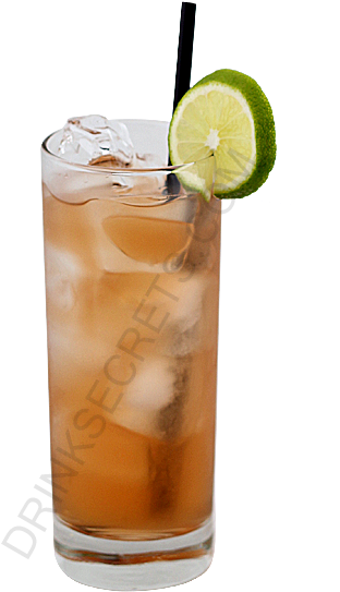 Long Island Iced Tea Drink Recipe - Long Island Iced Tea Drink Recipe (450x600)