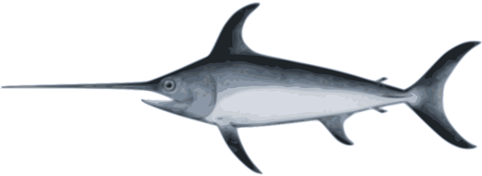 Swordfish Clipart 8, Buy Clip Art - Sea Fish With Long Nose (960x480)