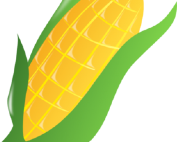 Harvest Clipart Ear Corn - Corn Clip Art (640x480)