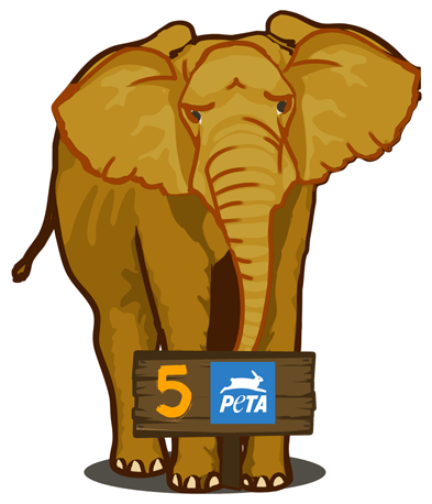 People For The Ethical Treatment Of Animals - People For The Ethical Treatment Of Animals (630x457)