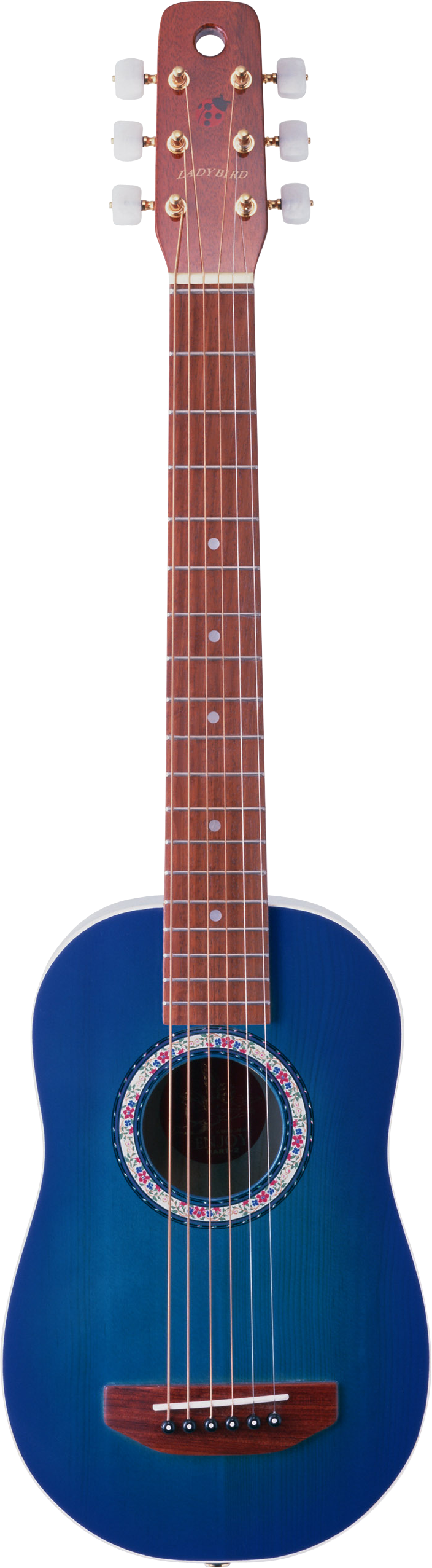 Download - Guitar (704x2552)