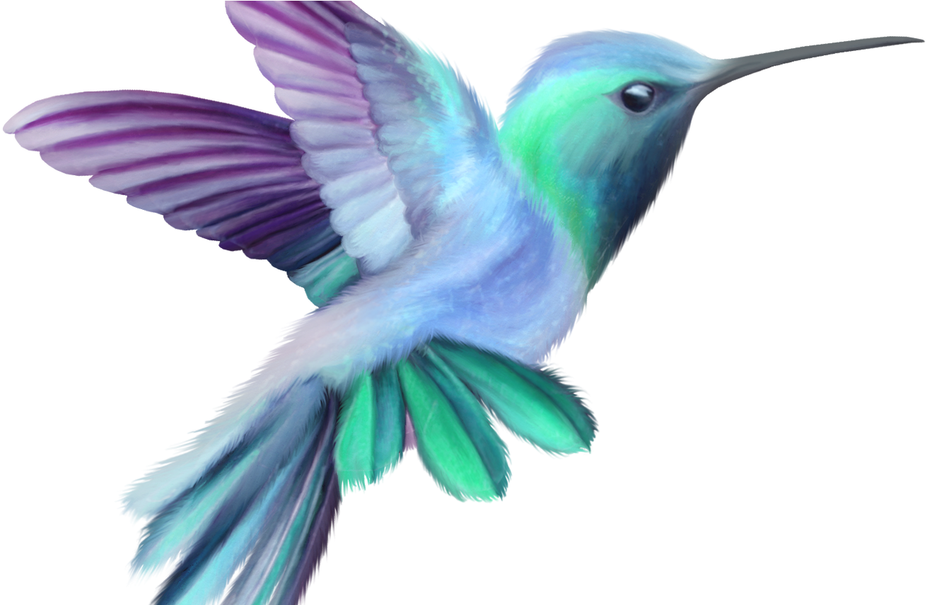 Image Result For Hummingbird Wire Sculpture Pinterest - Color Bird Png (1368x855)