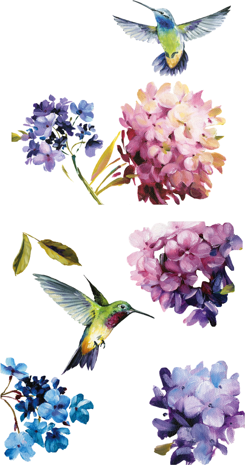 Çiçekler Png Clipart Lisa Audit - Framed Photographic Print: Spring Nectar Square Iii (1139x1600)