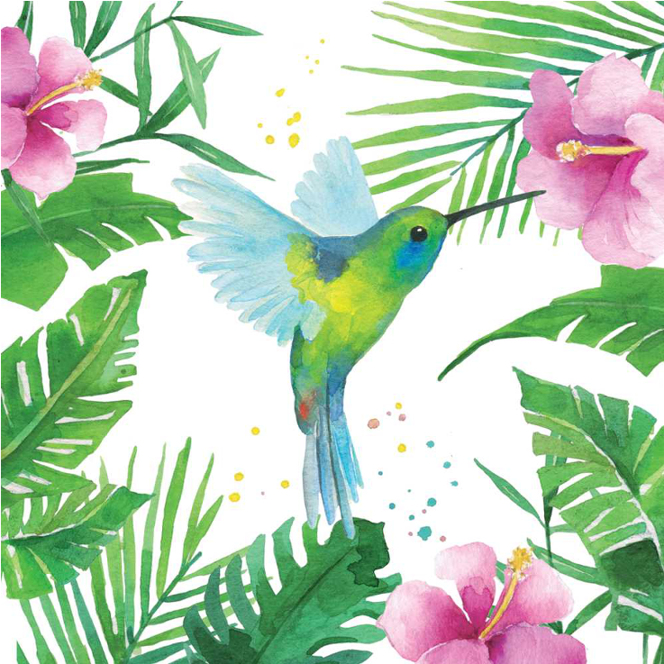 Buy Napkins Ppd Tropical Hummingbird 1332706 Elkor - Serviette En Papier Tropicales (800x800)