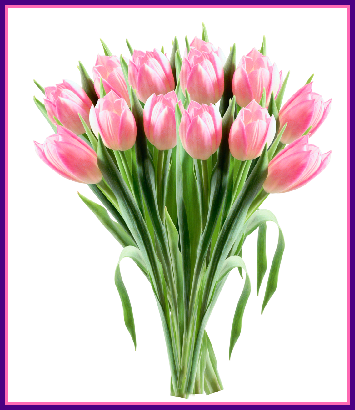 Awesome Pink Tulips Transparent Png Clipart Picture - Tulpe-mutter-tageskarte Grußkarte (1136x1311)