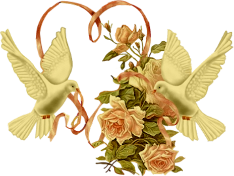 Par Pourvous Le 17 Juillet 2009 À - De Colombe Pour Mariage (464x350)