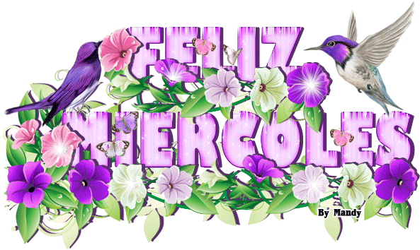 Virgen María, Ruega Por Nosotros - Feliz Miercoles Con Pajaritos (599x356)