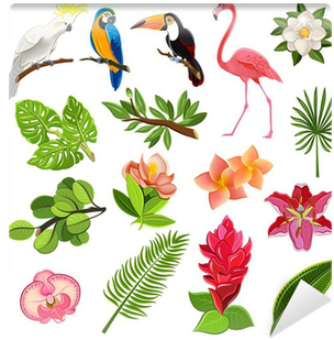 Tropical Birds And Plants Pictograms Set Wall Mural - Tropical Bird Vector (400x400)