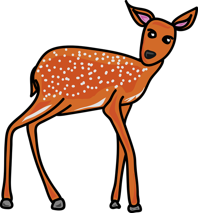 Dear Clipart Hd Animal - Deer (669x720)