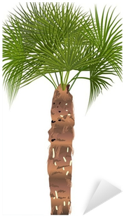 Vinilo Pixerstick Aislado Ilustración Sola Palmera - Flowerpot (400x400)