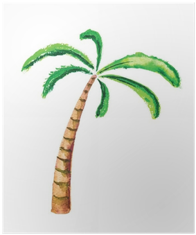 Póster Palmera, Ilustración Vectorial Acuarela • Pixers® - Palm Tree Watercolour (400x400)