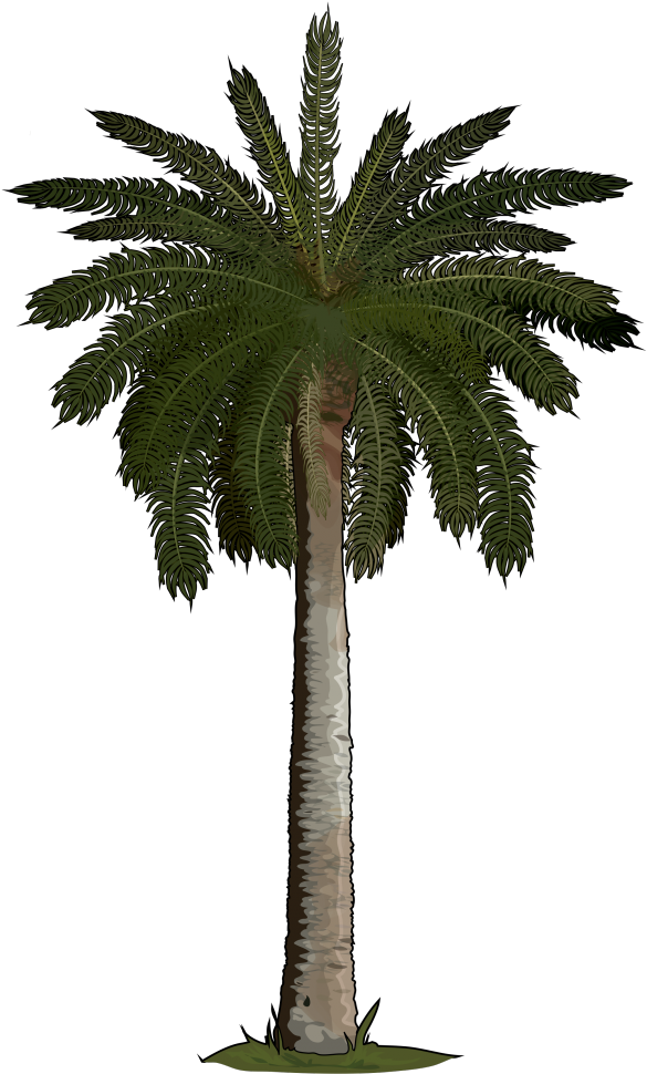 Con Palmera Logo - Artificial Palm Tree With Lights (700x990)