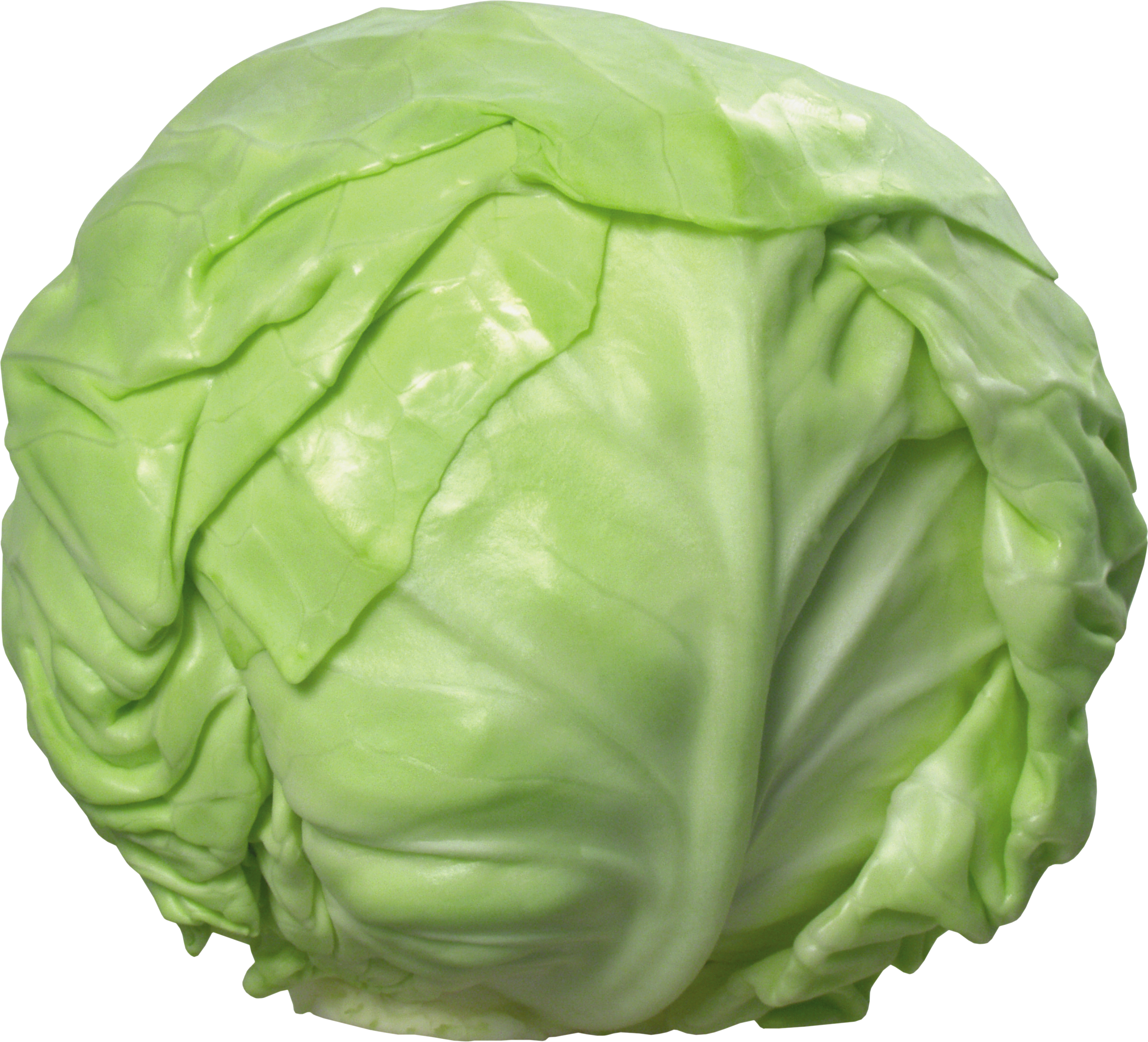 Cabbage Clipart Transparent Background - Cabbage Png (2622x2379)