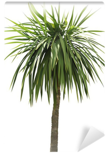 Colored E Ilustración Detallada • Pixers® - Illustration (400x400)